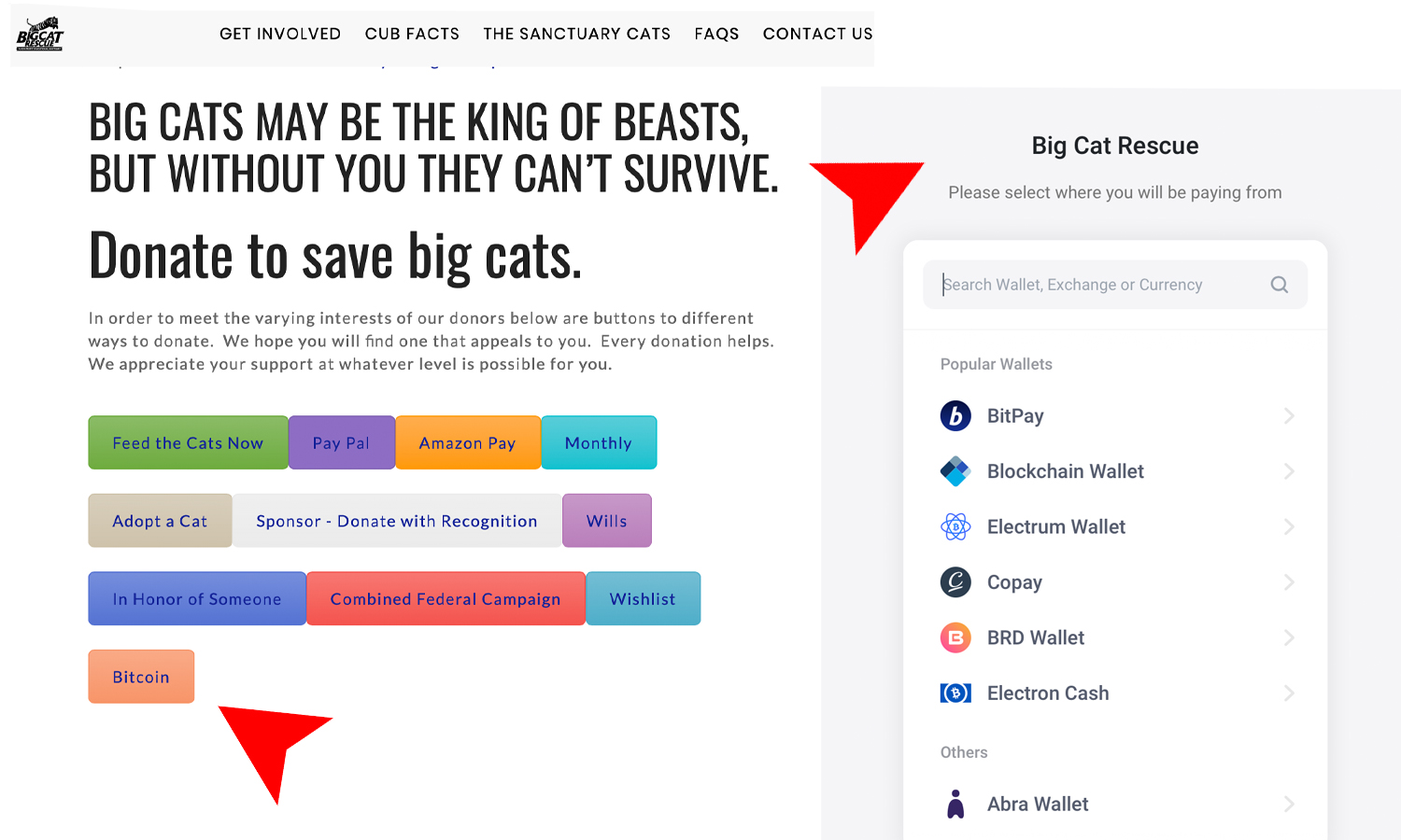 Tiger King's Archnemesis Big Cat Rescue Accepts Bitcoin Tiger King's Archnemesis Big Cat Rescue Accepts Bitcoin