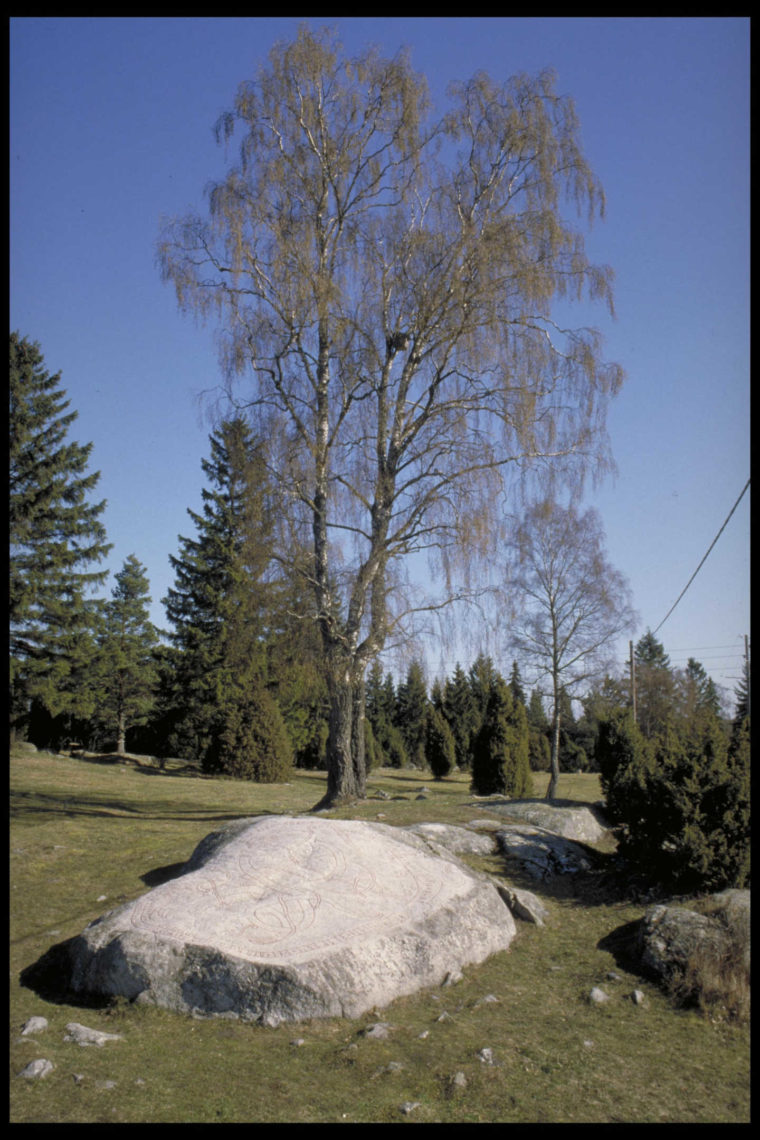 Stockholm, Vallentuna, Orkesta, Uppland, Fornminnen-Ristningar, hällmålningar och minnesmärken-Runristning/runsten. Fotograf Bengt A Lundberg