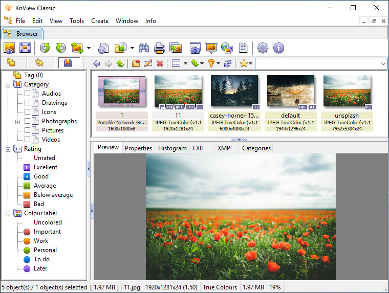 XnView 2.51.0